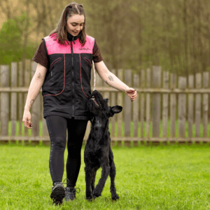 Rally Obedience