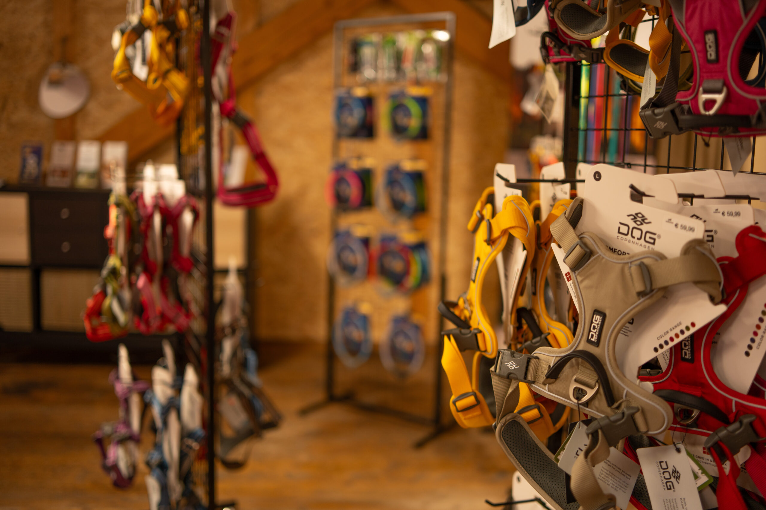 Shop